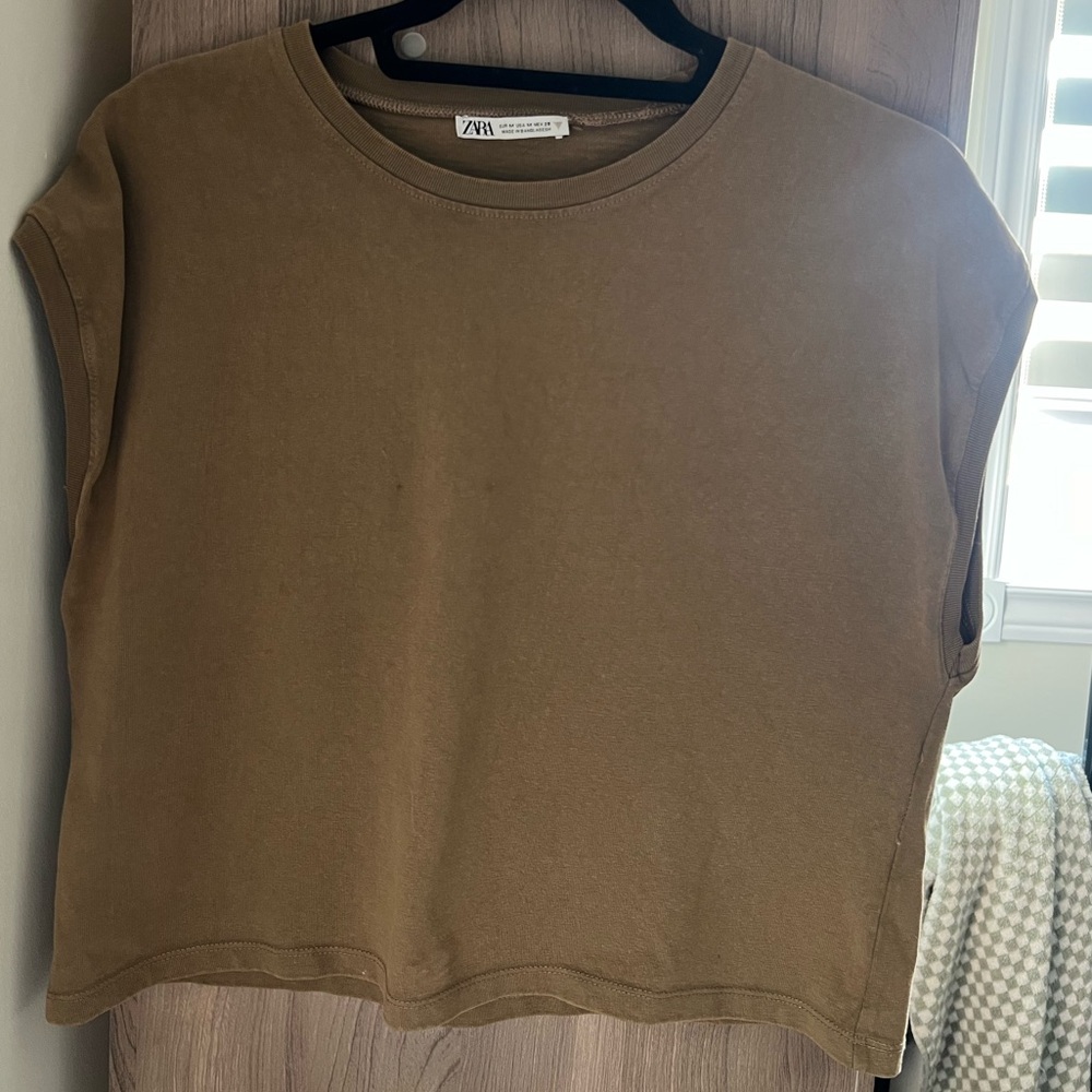 Zara Women's Brown Crop Top